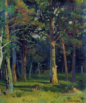 Ivan Ivanovich Shishkin Werke - Wald Kiefer klassische Landschaft Ivan Ivanovich